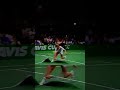 Davis Cup played on CARPET?! 😱 #Tennis #DavisCup #Shorts