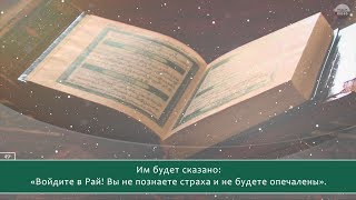 Mohammad al Assimi. 7 Аль-Араф (Ограды), аяты 40-51