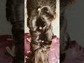 simple and easy pencil hairstyle 💞😍✨#amazinghairstyles #amazinghairstyles #simplehairstyle