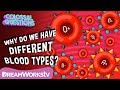Understanding Blood Types