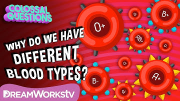 Why Do We Have Different Blood Types? | COLOSSAL QUESTIONS