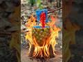 Pineapple stoves are useful for cooking noodles in the jungle. U#JungleLife #survival #Outdoors