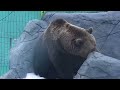 Старые видео про Мансура 29