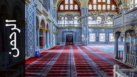 سورة الرحمن عماد زهير حافظ - Surah Ar-Rahmaan Emad Hafez