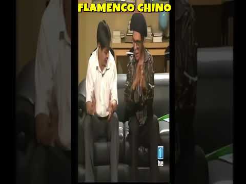 FLAMENCO CHINO