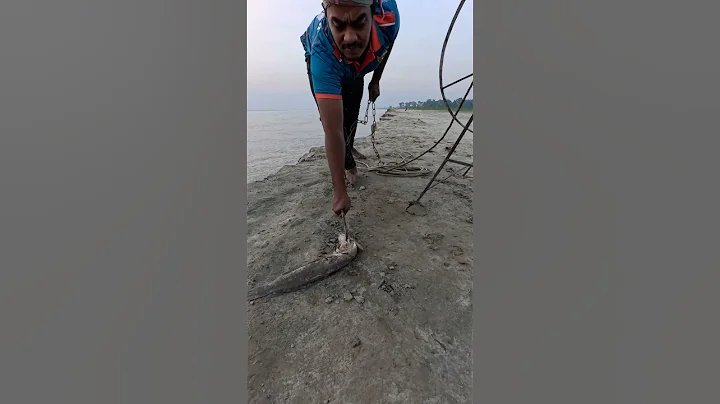 Best catfish bait throw skills by hook yarn  #fishinglife  #hook  #bait