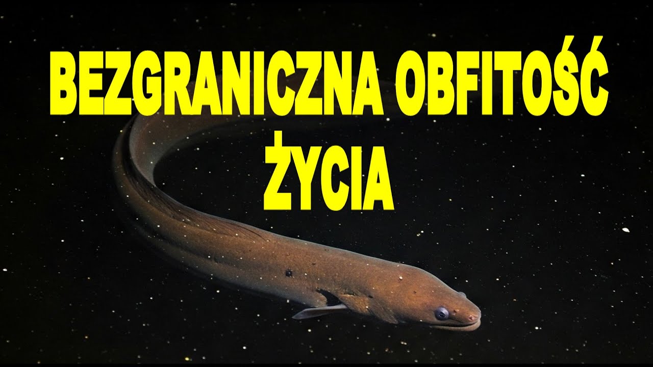 NURKOWANIE, 05.05.2025  MOJA RODZINNA MIEJSCOWOŚĆ