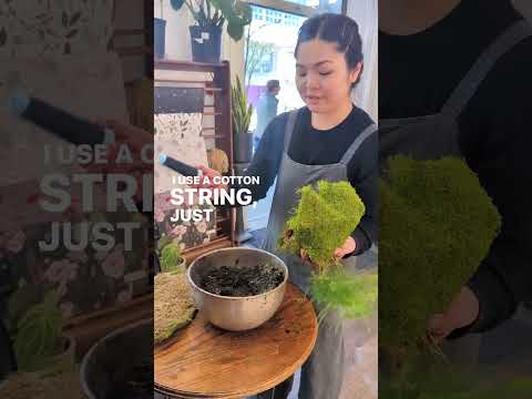 Video: Staghorn Fern Care - Kako gojiti praprot staghorn v zaprtih prostorih in na vrtu