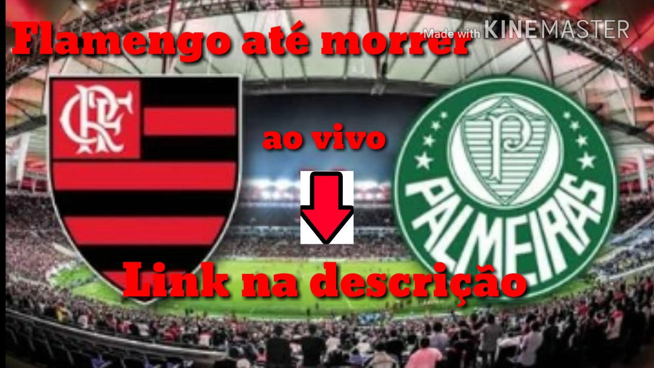 Assistir Flamengo X Palmeiras Ao Vivo Hd Youtube