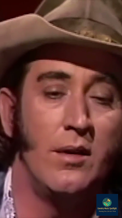 Is This The Best Version Ever? Don Williams Amanda #shortsfeed #outlawcountry #countrymusic