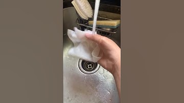 How To Kill Flies | TikTok: @itszackpiercy