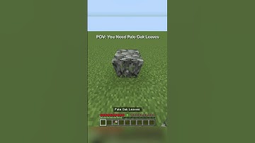 POV: You Need Pale Oak Leaves #cool #minecraft #gaming #foryou #pov #relatable