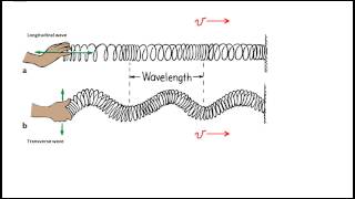 Parts of a Wave