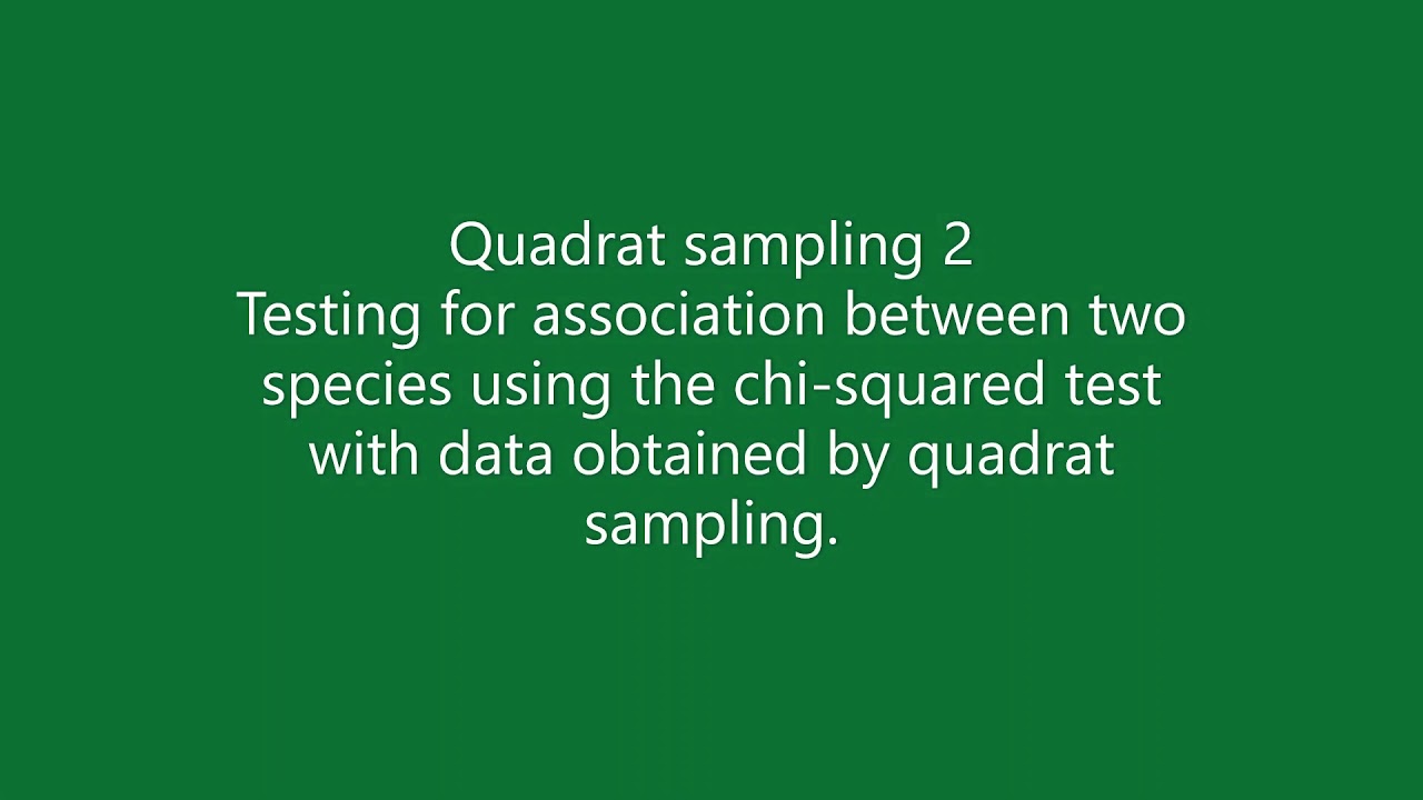 Quadrat sampling - YouTube