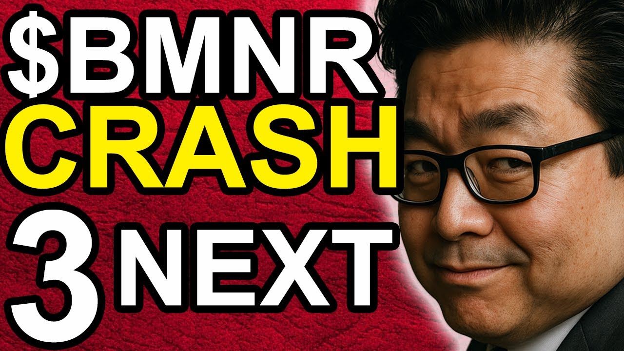 ЛУЧШИЕ 3 СЛЕДУЮЩИХ катализатора для $BMNR Bitmine