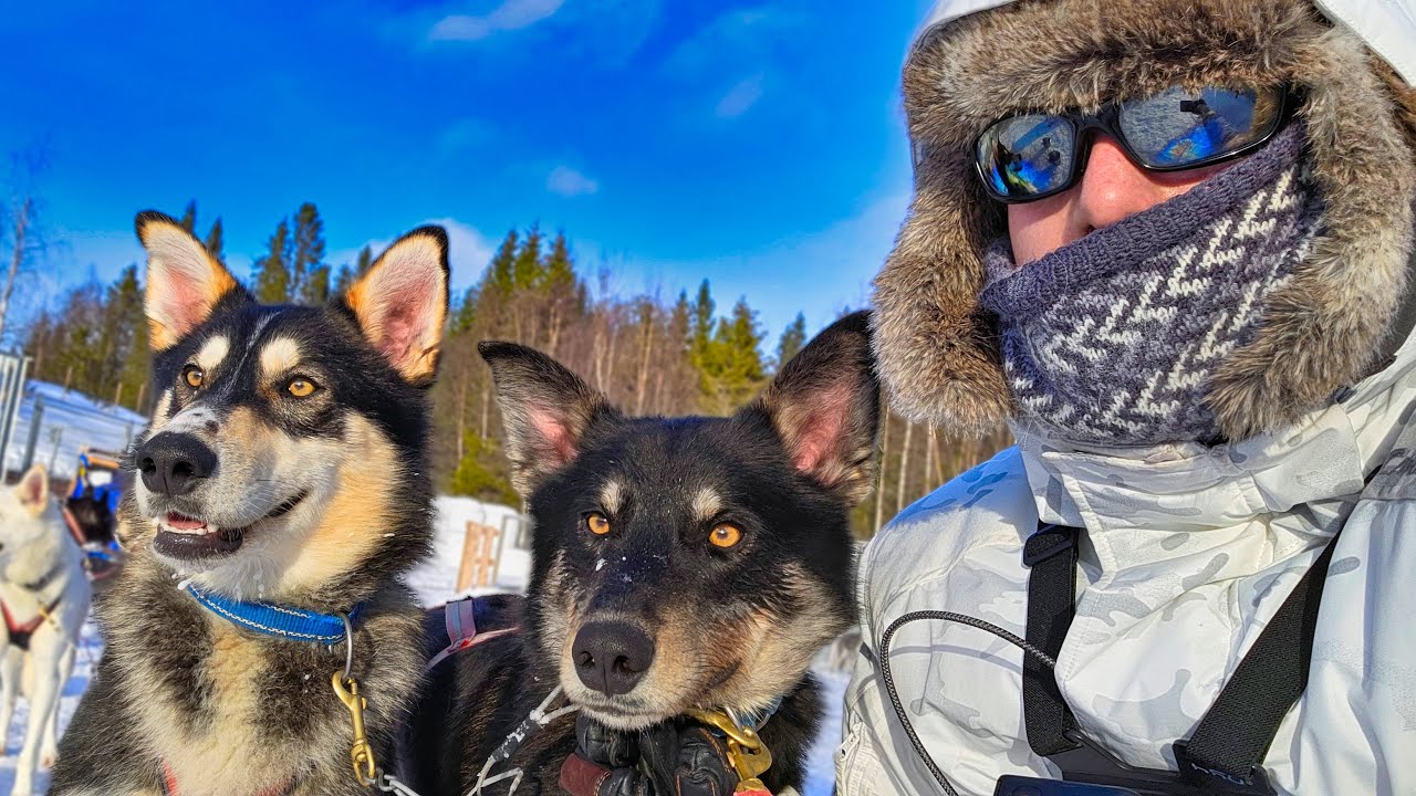 One Week Husky Expedition in Sweden Part 1