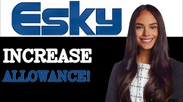 How To Increase Baggage Allowance After Check In On eSky (2025)