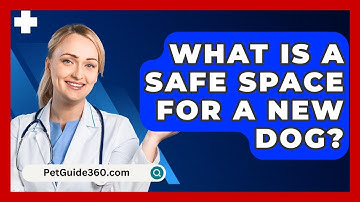 What Is A Safe Space For A New Dog? - PetGuide360.com