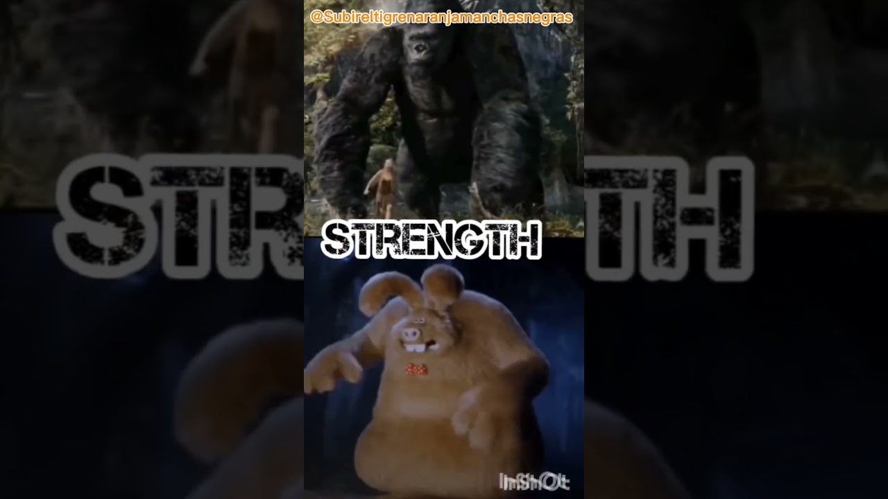 king kong vs were rabbit 