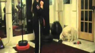 Nickara Tae Kwon Do Kicks 001.MOD