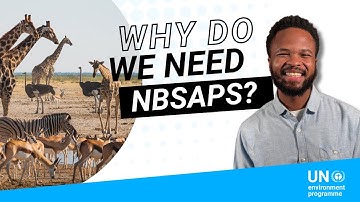 How National Biodiversity Strategies and Action Plans - NBSAPs - can save our planet