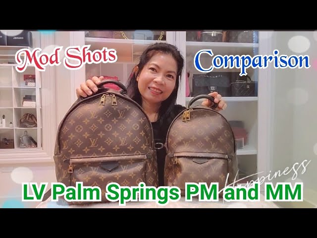 LV Palm Springs backpack, MM, original version