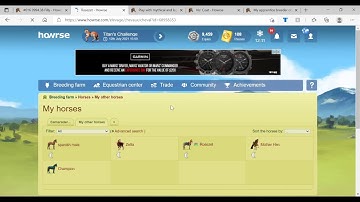 Howrse : Sushi Bar Gaining an iris horse coat and we earned the Rainbow coat with the most bonuses.