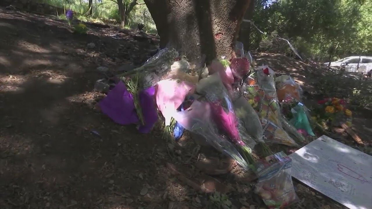 New details emerge on family of 4 killed in Pleasanton crash YouTube