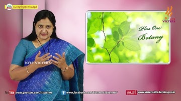 KITE VICTERS Plus One Botany Class 36 (First Bell-ഫസ്റ്റ് ബെല്‍)