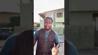 PNP and JLP come to the front of the line🗣️🇯🇲