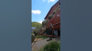 Unloading and Stacking Small Square Hay Bales! #farming #farmer #tractor #agriculture #dairyfarm
