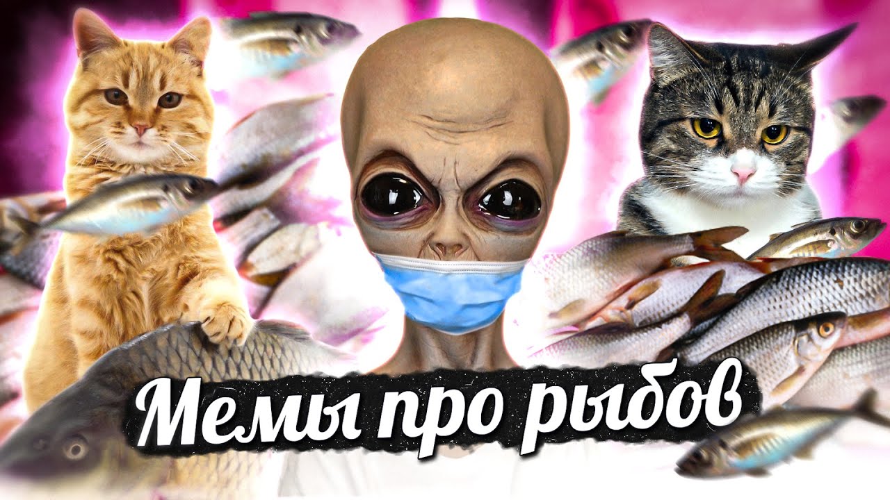 С новым рыбом мем