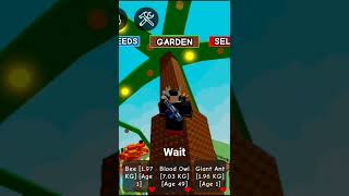 2 Gigantic Coconut Tree Connected