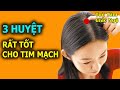 Bấm 3 Huyệt Này Vừa Tốt Cho Tim Mạch Lại Hỗ Trợ Điều Trị Bệnh Rất Hiệu Quả