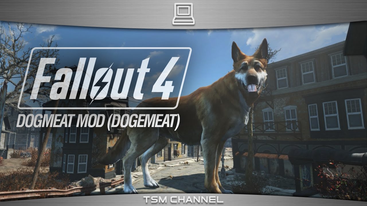 Fallout 4 Dogmeat Mod (DogeMeat) - YouTube