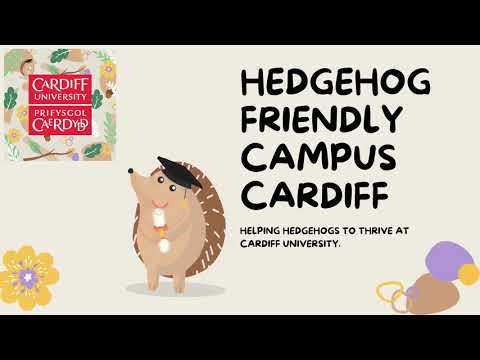 Cardiff University Hedgehog Friendly Campus (Full Video)