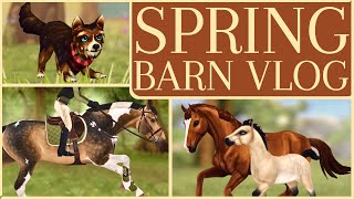 Equestrian Spring Barn Vlog: Lessons, Cross Country & More! II Star Stable Realistic Roleplay