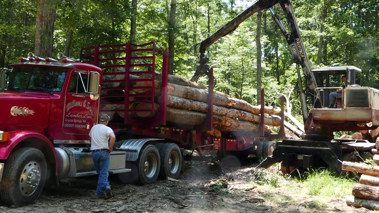 log trucks loading hauling near caudy s castle youtube