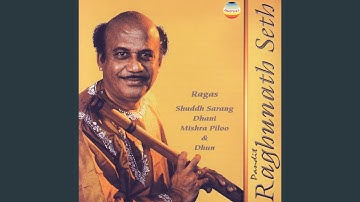 Thumbnail of Raag Dhani-Gat 1 In Teen Tal