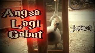 Story' wa lucu Angsa lagi gabut😀