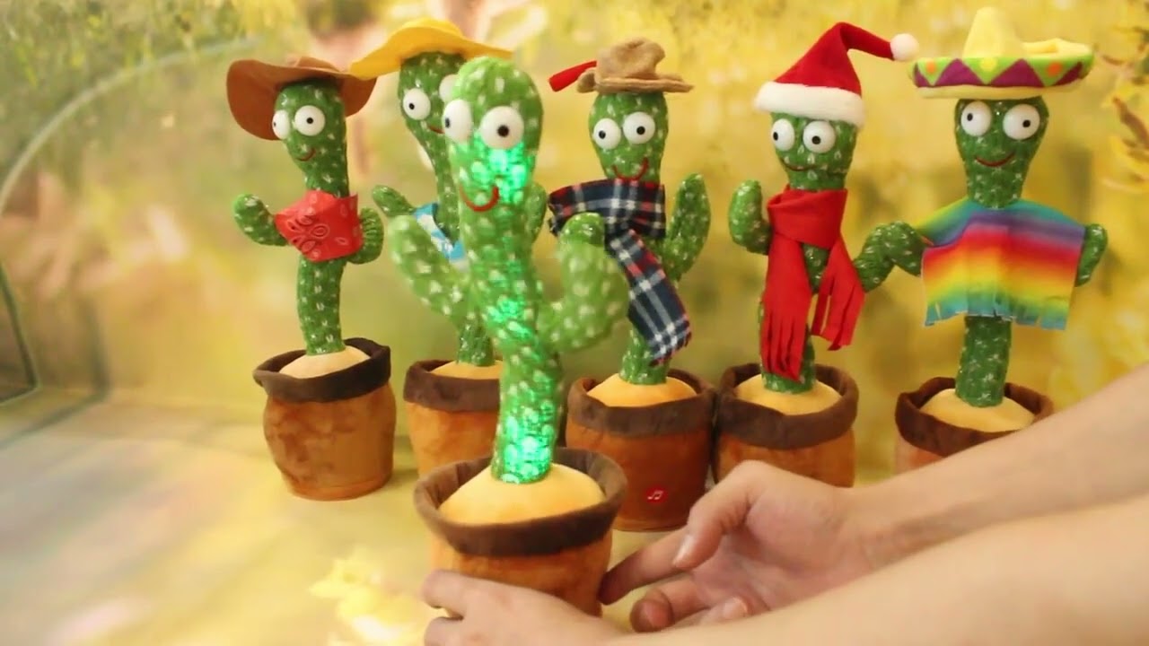 okantis Kaktusas