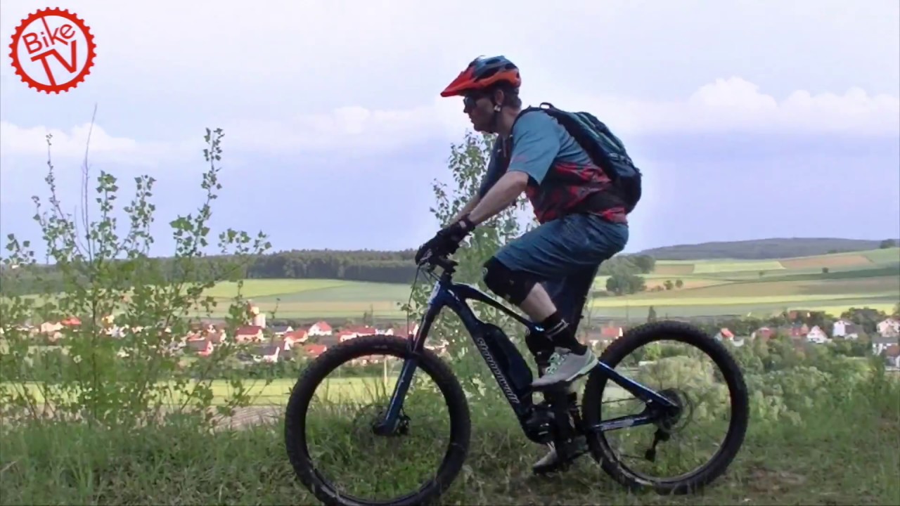 steppenwolf tundra carbon pro