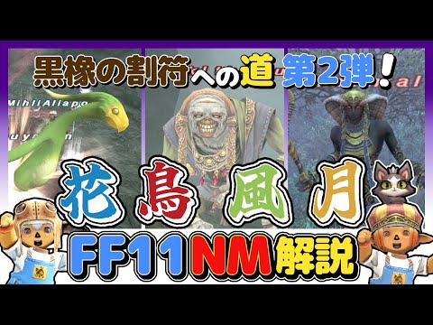 FF11】アラパゴ諸島の花鳥風月NM「ティガー」へのルート第2弾を