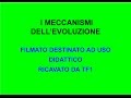 I meccanismi dell'evoluzione TF1