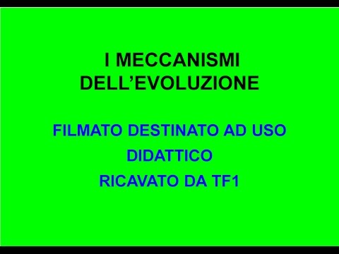 Video: Quali sono i 4 meccanismi dell'evoluzione?