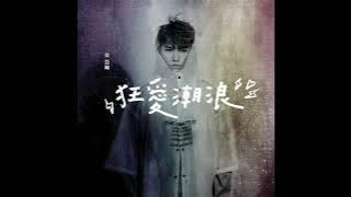 Aaron Yan - Wave of Mad Love (Lyrics/Pinyin/English Translation)