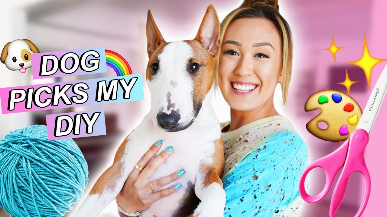 laurdiy dog breed