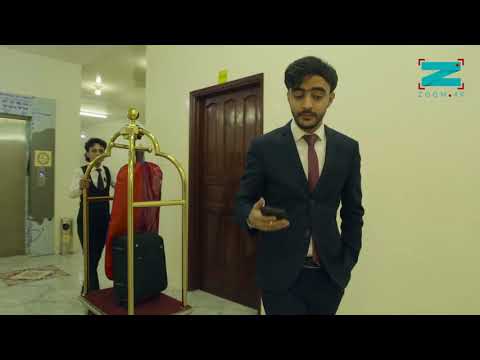 فندق الفور سيزون صنعاء اعلان