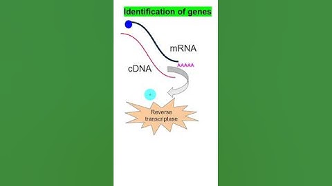 what are EST? Expressed sequence tags? Human genome #neet #molecularbasisofinheritanceclass12