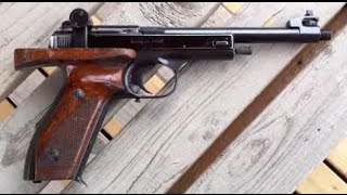 Vostok Margolin .22 Short Pistol
